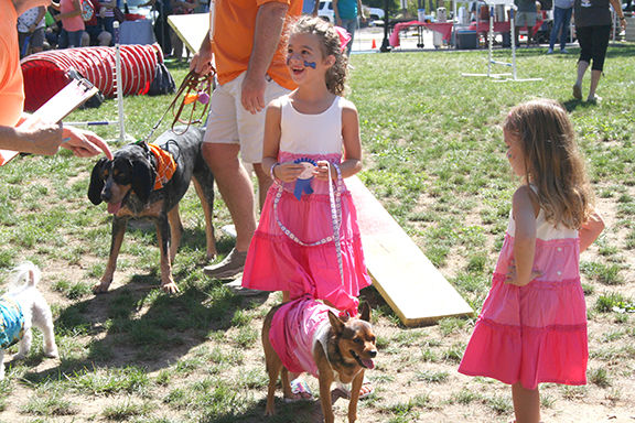 Doggone it! Puppies on parade
